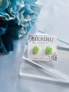 【匿名配送】本物のお花が入った ピアス　イヤリング
