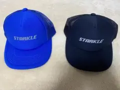 Item thumbnail for item dc93cd9a-2123-4789-b9da-4113bd92c69d