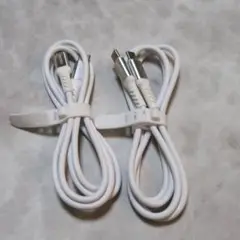 Type C to Type C 充電ケーブル 2m 2本入り ホワイト