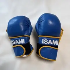 ISAMI パウンドグローブ 青