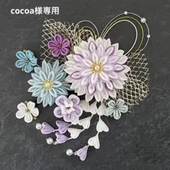 Item thumbnail for item d6242a29-ec3d-4f18-a224-31128db25e95