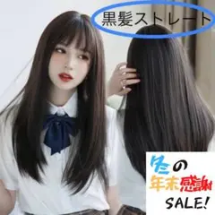 ロングストレート ウィッグ ブラック リアル 小顔 清楚 クリスマス