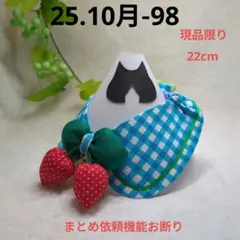 Item thumbnail for item c2bcb432-f2cd-4672-b4b9-d011c8f7c8a5