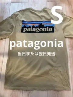 【当日または翌日発送】パタゴニア　patagonia ベージュ Tシャツ　S