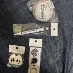 第106回全国高校野球選手権大会　神村学園　缶バッジ　ボールペン　ピンバッジ