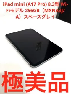 極美品 iPad mini 256GB UAGペン収納ケース付
