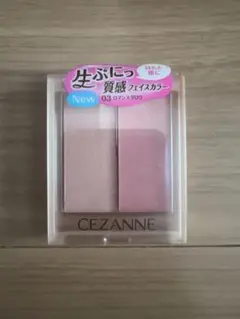 Item thumbnail for item 22c2801a-8a95-4f0a-a8e9-343833ec9bd8