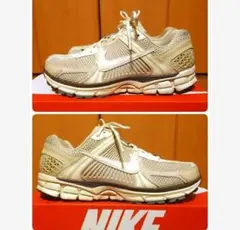 Item thumbnail for item 04b89f99-da1a-4ae6-880e-350bf05eb834