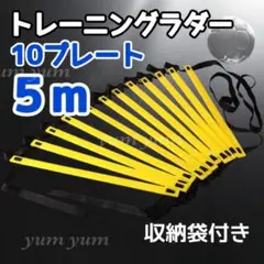 トレーニングラダー 陸上 サッカー スポーツ 基礎 瞬発力 体幹 5m