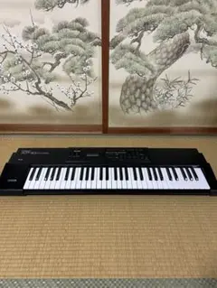 2025年最新】XP-10 ROLANDの人気アイテム - メルカリ