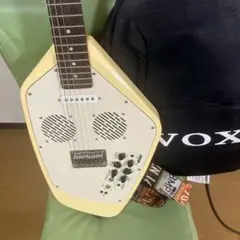 VOX ヴォックス APACHE　GOTOHペグゴトー 廃盤 2025年最新】vox apacheの人気アイテム - メルカリ