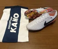 【新品未使用】NIKE TIEMPO LEGEND 10 ELITE FG