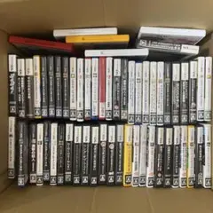 A1501 3DS、DSカセットまとめ