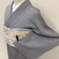 未使用 正絹 小紋 メダカ柄 九寸名古屋帯 花唐草柄 着物帯セット