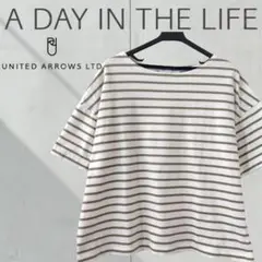 A277【美品】アデイインザライフ　ボーダーボートネックTシャツ　半袖　カーキ