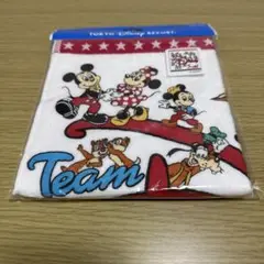 東京ディズニーリゾート　TeamDisney チームディズニー　ウォッシュタオル