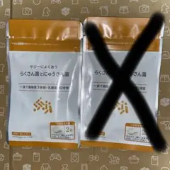 サジーによくあうらくさん菌にゅうさん菌