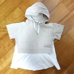 ポンポネット　１５０cm