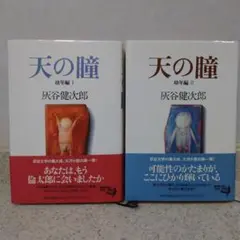 灰谷健次郎　単行本「天の瞳」2冊まとめ売り