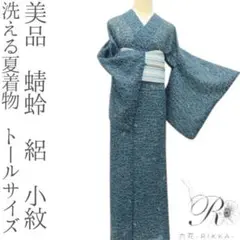 美品 洗える夏着物 蜻蛉 トールサイズ 絽 小紋 着物 A3407