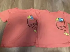 綿　100 パーセント　Tシャツ　2枚