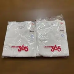 Item thumbnail for item 8c1e9ee9-ee63-4f4d-b5bd-06221261a290