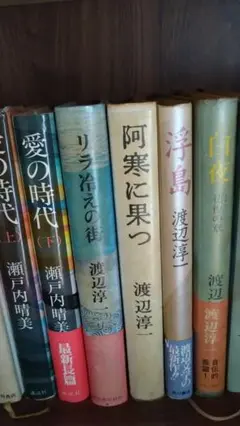 渡辺 淳一 & シドニーシェルダン