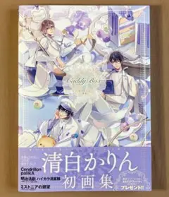 【帯付き】Caddy Box 清白かりん　画集