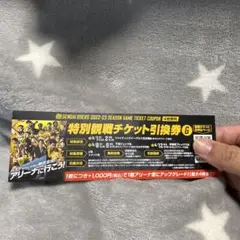 仙台89ERS バスケ チケット