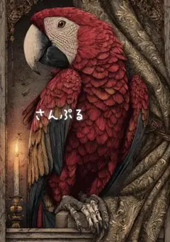 1193 オリジナル アニマルステッカー 動物 コンゴウインコ ゴシック 4枚