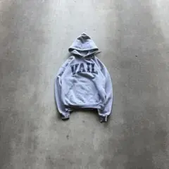 hanes VAIL logo hoodie gray