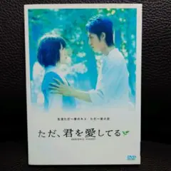 「ただ,君を愛してる」DVD(スタンダード・エディション)
