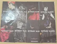 straykids スキズ in生 プレオーダー特典 8人セット①