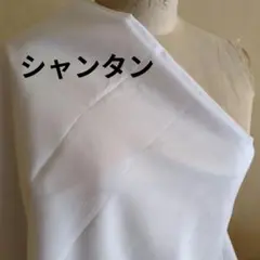 生地　ハギレ　シャンタン　白