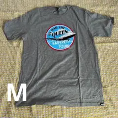 デルタ航空非売品Tシャツ 期間限定更に値下げ - メルカリ