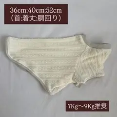 Item thumbnail for item a08722a3-713d-4a93-9e11-286cfb046bbe