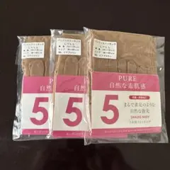 PURE SHALEG NUDY 5本指ストッキング L-L ベージュ