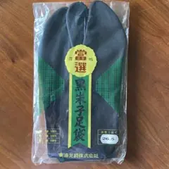 Item thumbnail for item 653cada7-969a-4b4d-9f1b-f69e392b7486