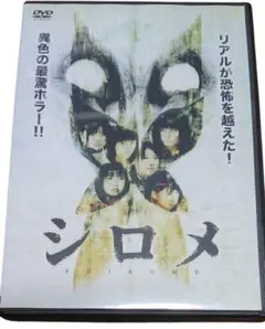シロメ