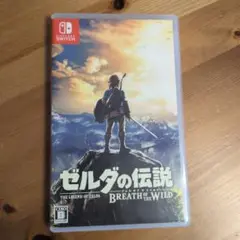 ゼルダの伝説 ブレス オブ ザ ワイルド