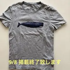 Banana Republic Tシャツ M