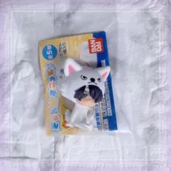 ✩ 銀魂 きゃん魂すこっと/高杉晋助