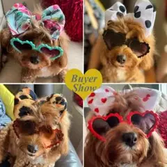 犬サングラスカラフル