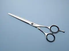 Item thumbnail for item 404eb9ba-d9d1-4b05-86a5-831fe96241bb