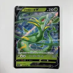 ジャローダv rr ポケモンカード