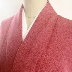 2m1433 着物 正絹 袷 江戸小紋 無病息災鮫小紋 赤 白 一つ紋 和装