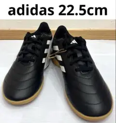 Item thumbnail for item 3a333e9a-4d6b-4908-ab9d-27594212564a