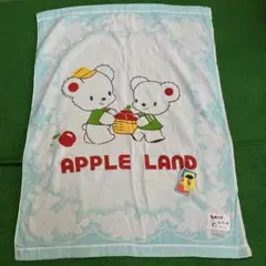 昭和レトロ　ベビータオルケット　②