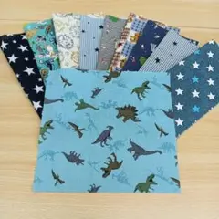 ★B164★ カットクロス/プリント生地/国産/25cm×25cm/10点