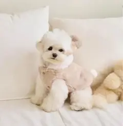 Item thumbnail for item 1d0d50c8-4107-4a8e-b092-5bce8f05a5a5